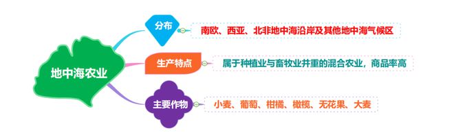 致富云南种植农民树视频_云南种植什么树挣钱_云南农民种植致富树