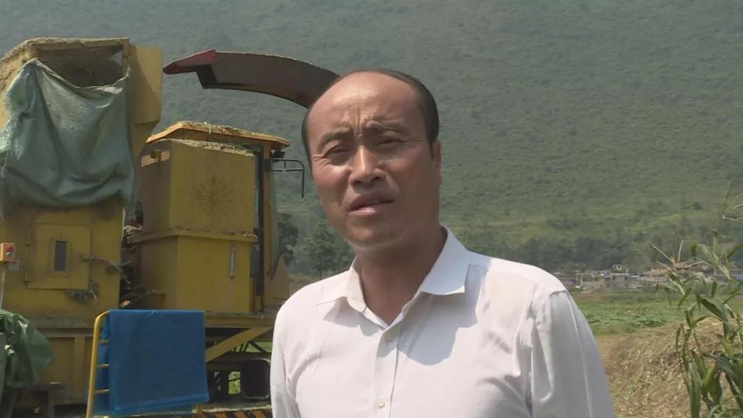 大理农民致富经_大理山区的农村_大理农村视频