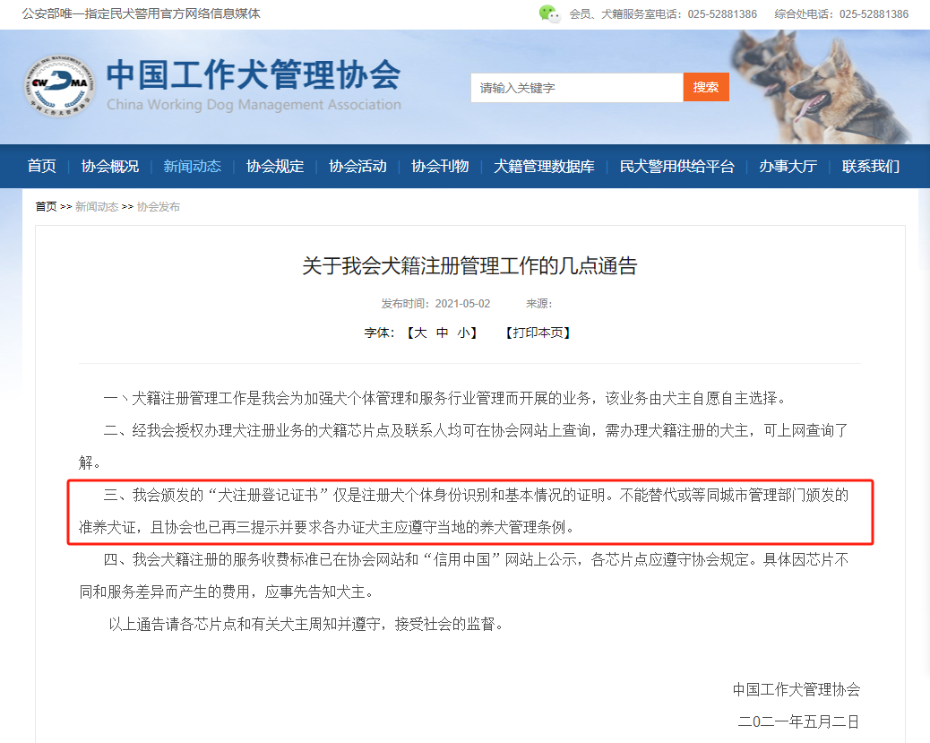 养殖捷克狼犬致富_捷克狼犬养殖基地_养捷克狼犬多少钱