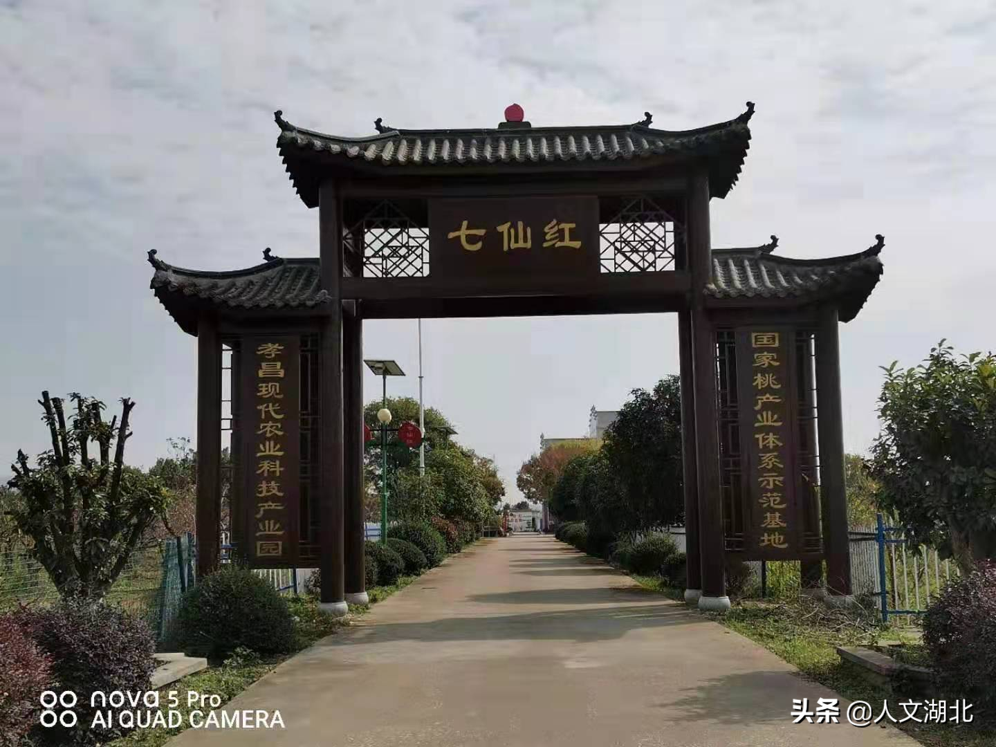 石灰塘种植致富_石灰在养殖场的作用_石灰土种植