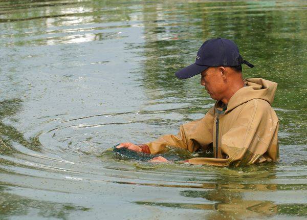 致富经室内养虾视频_致富经淡水虾养殖视频_养殖虾如何致富