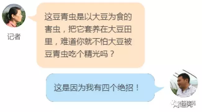 致富经豆丹_致富经中的老豆虫_致富经老人豆腐村