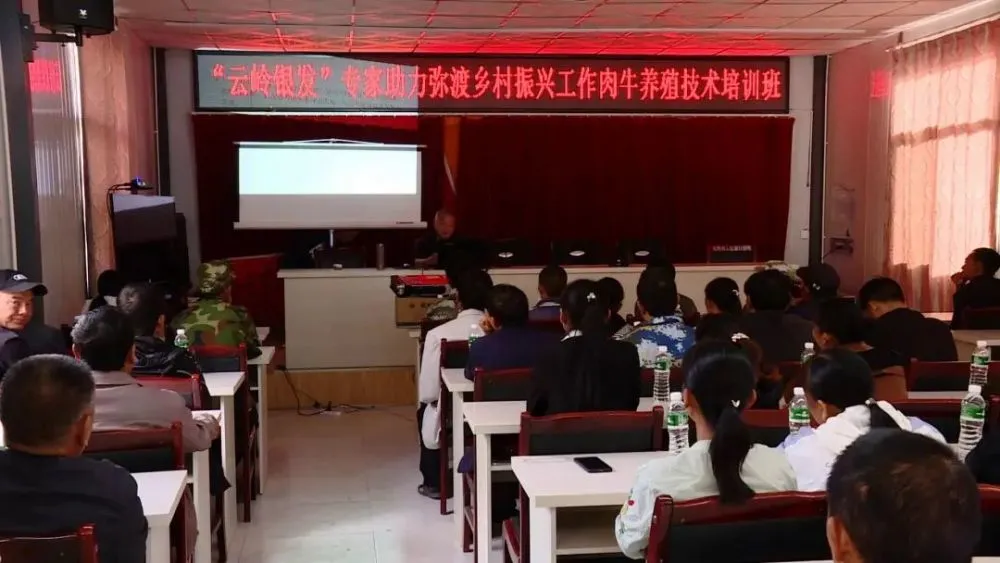 致富养牛故事简短_致富经养牛故事_致富养牛故事简介
