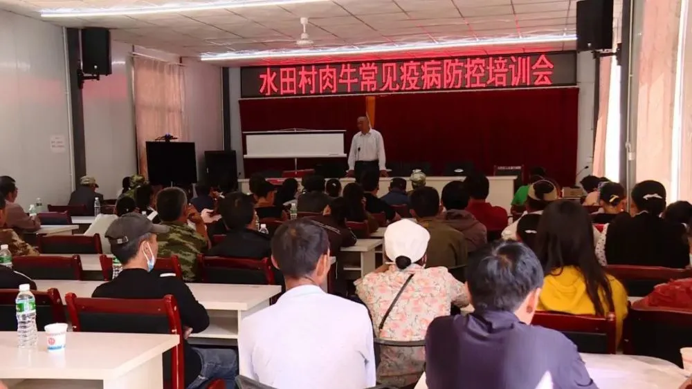致富经养牛故事_致富养牛故事简短_致富养牛故事简介