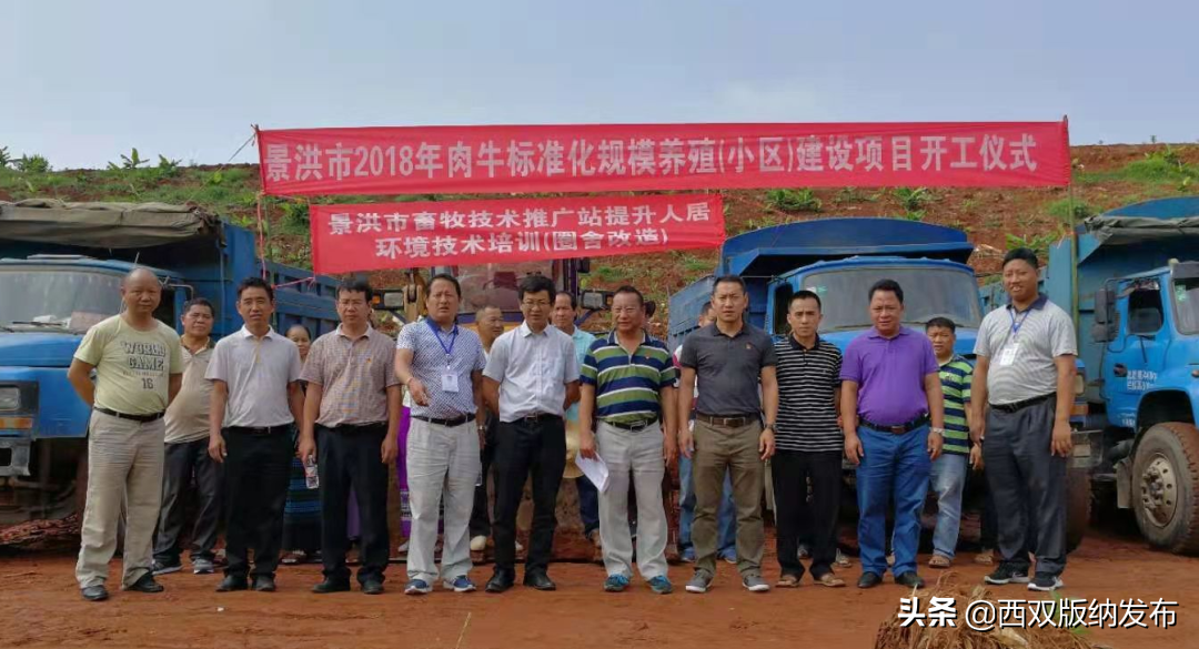 小耳猪养殖技术_致富经养小耳猪_小耳猪养殖