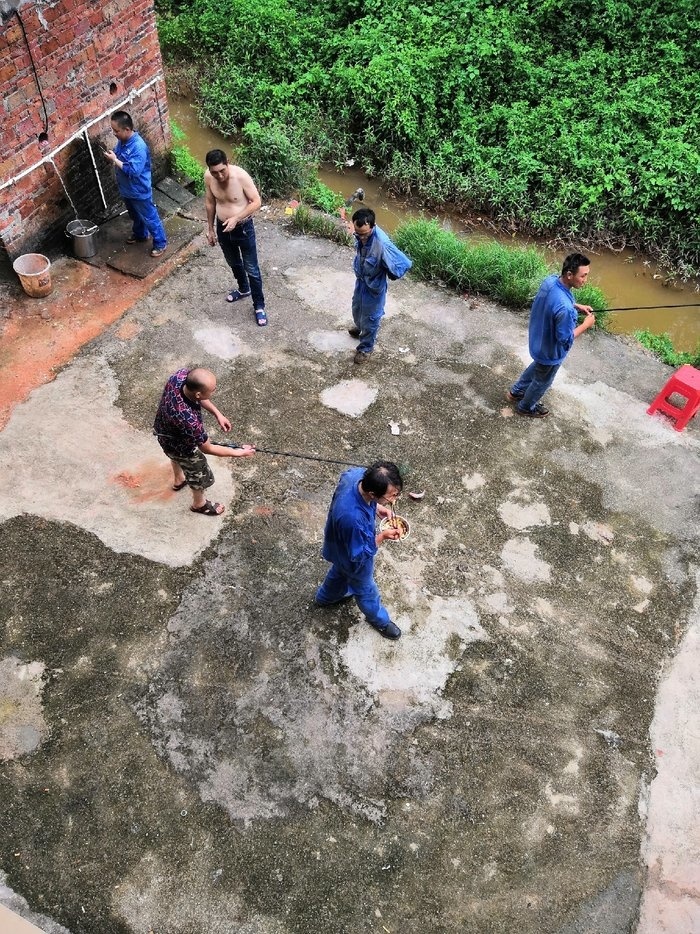 淡水养殖罗非鱼技术与管理_淡水罗非鱼的养殖技术_淡水可以养罗非鱼吗