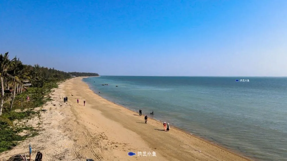 红鳌虾怎么养_致富经红鳌鳌虾_红鳌鳌虾价格