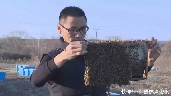 就业创业在龙江｜“养蜂大王”孙士成：酿造“甜蜜”致富经