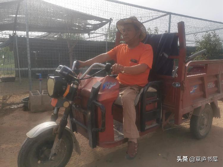 广西养殖兔子_广西野兔养殖基地_广西养殖野兔致富