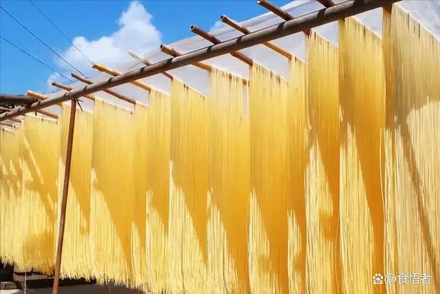 致富面条加工特色有哪些_面条加工厂赚钱吗_特色面条加工致富经