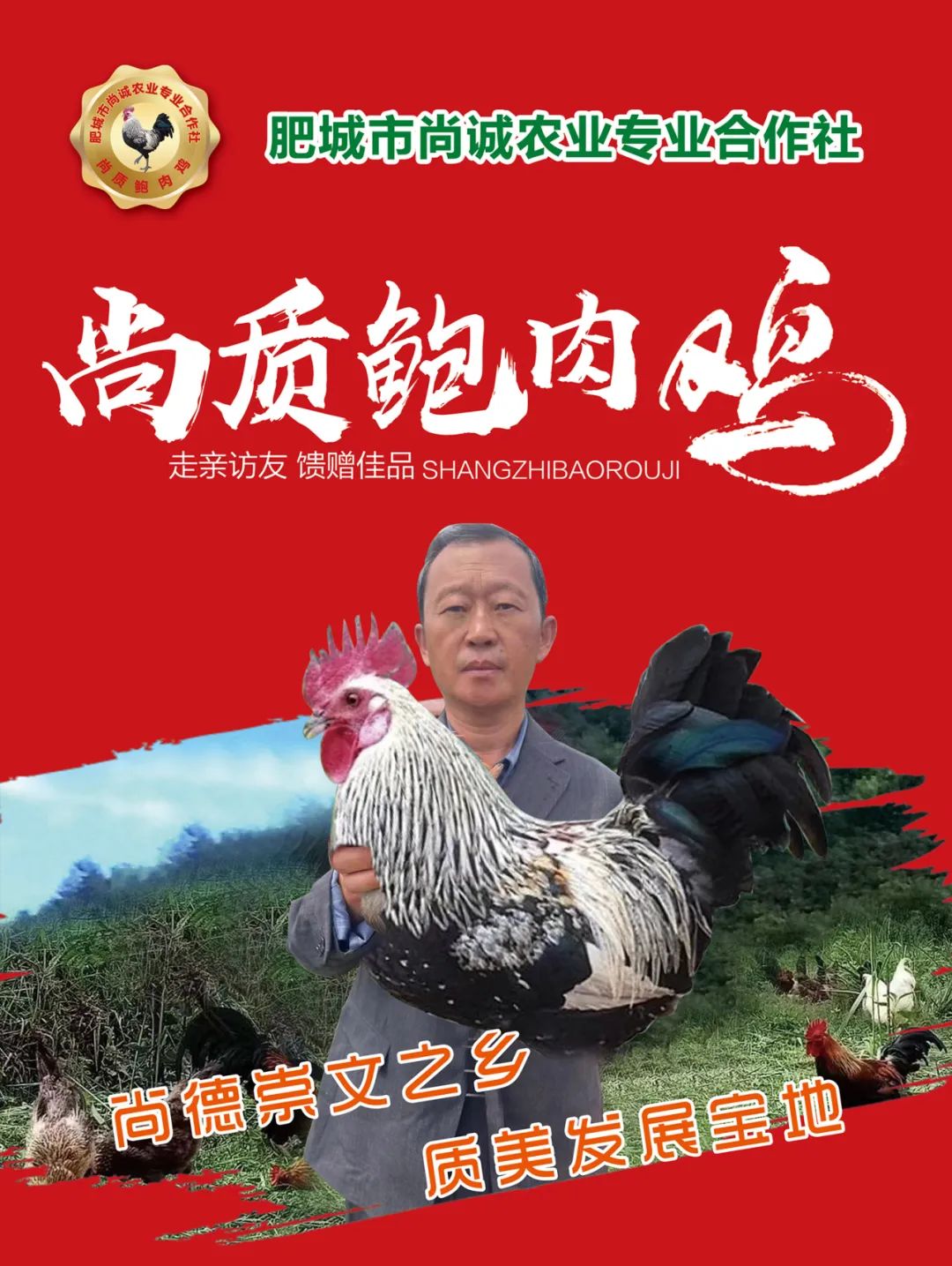 致富种植肥城项目怎么样_肥城种植结构_肥城种植致富项目