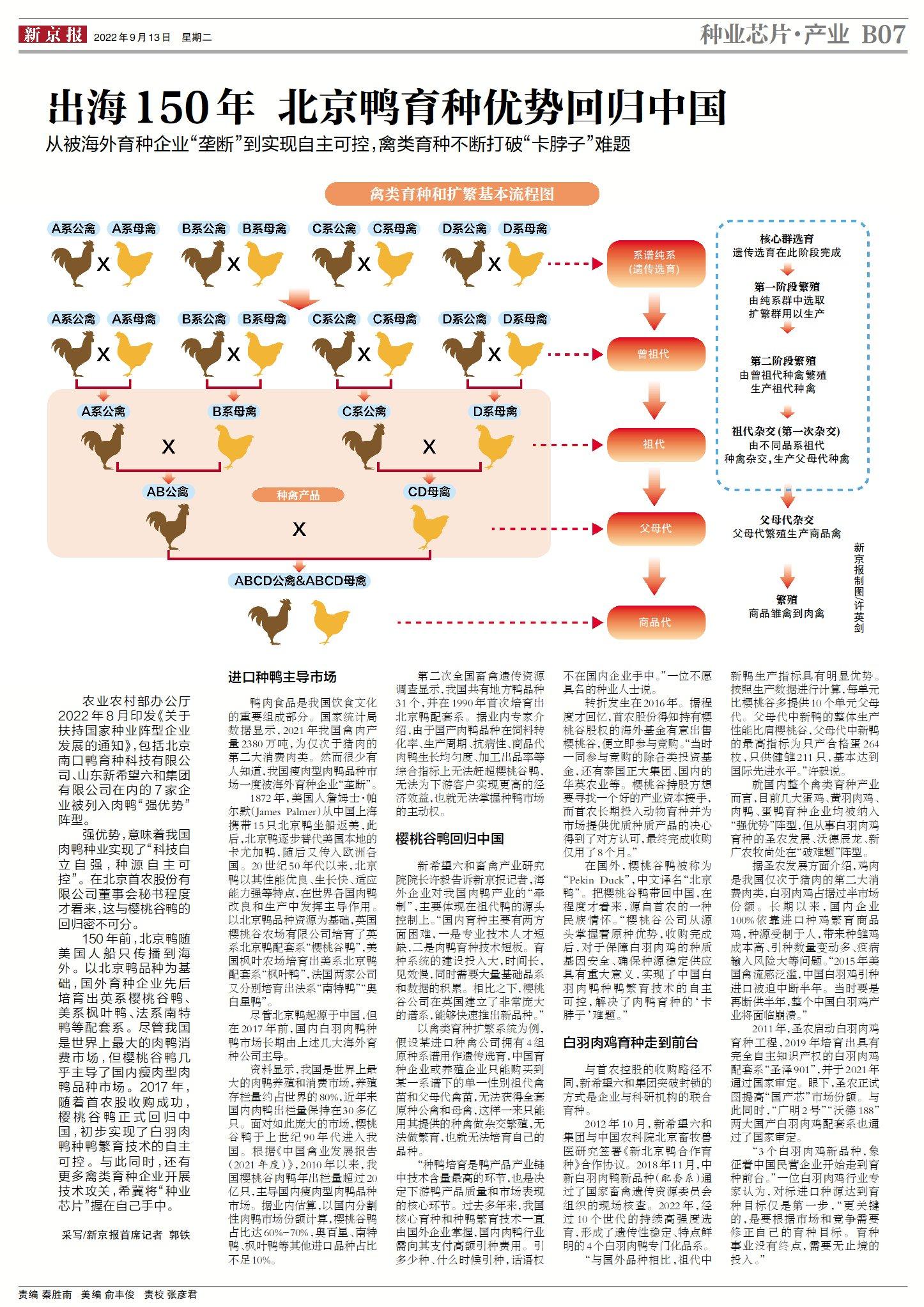 菏泽的鸭子养殖技术_菏泽鸭子养殖场_菏泽养鸭场