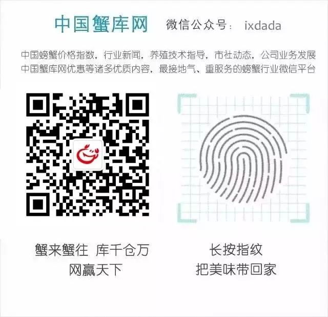 螺蛳养殖技术_养殖螺蛳技术有哪些_养殖螺蛳技术要求