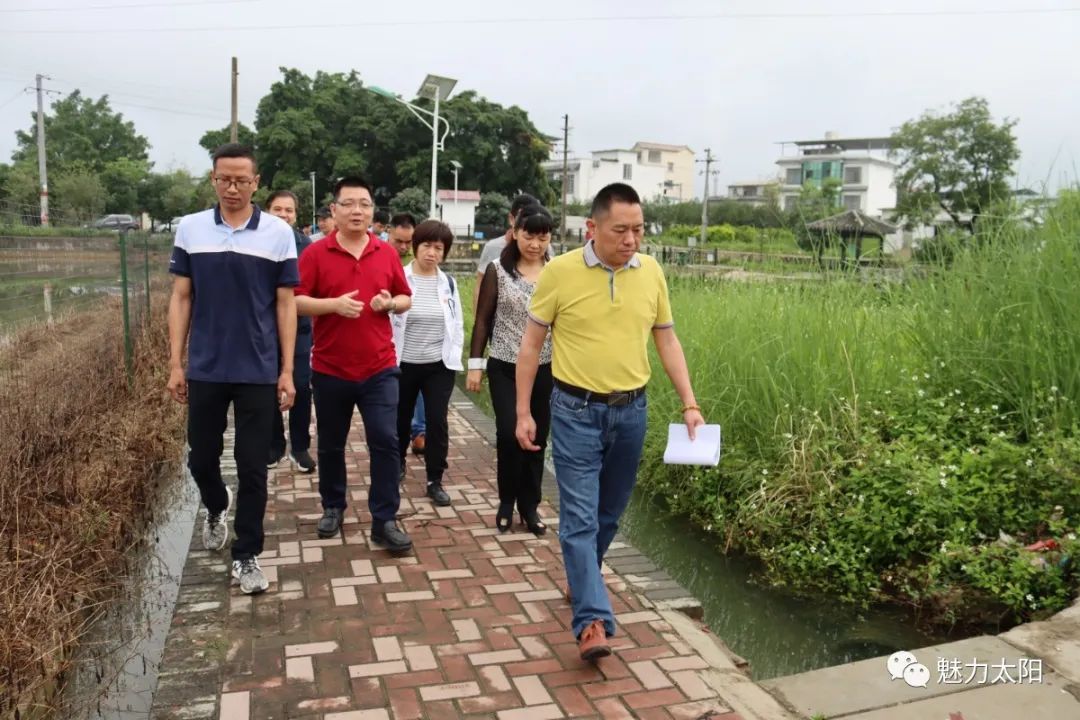 螺蛳养殖技术_养殖螺蛳技术规范_如何养殖螺蛳技术视频