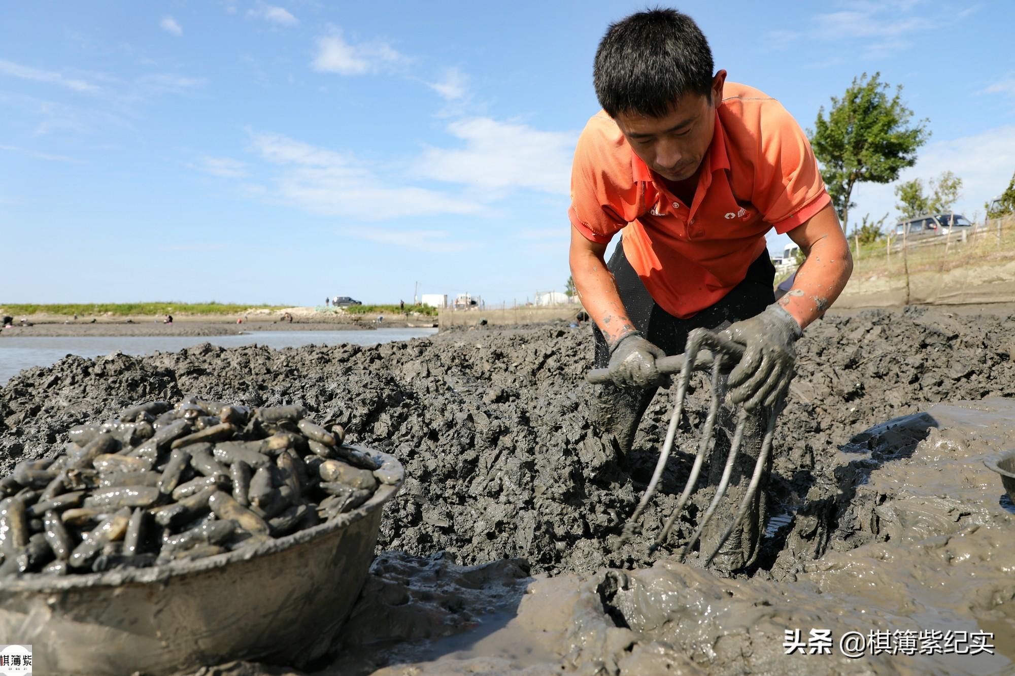 小人仙如何养殖_小人仙养殖技术_小人仙处理方法