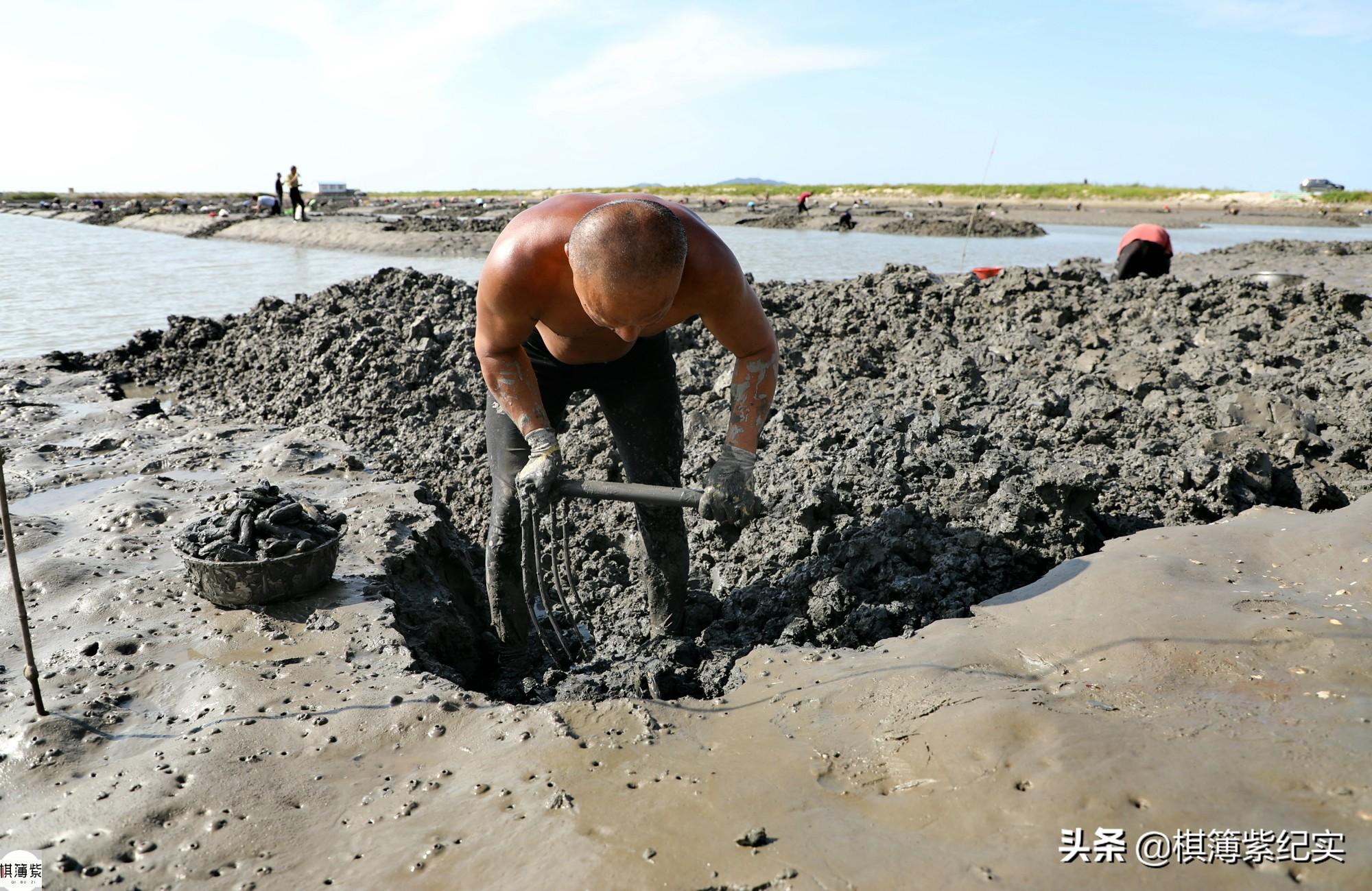 小人仙如何养殖_小人仙处理方法_小人仙养殖技术