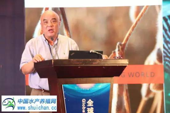 稻鳅蛙养殖技术_鳅稻混养_稻鳅养殖技术