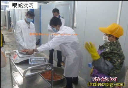 养蛇技术培训