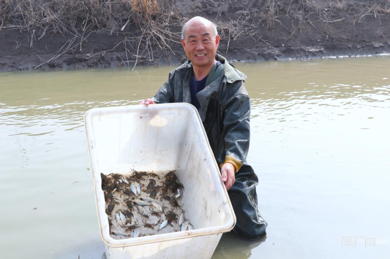 螃蟹养殖视频致富经_螃蟹视频致富养殖_致富经养螃蟹视频