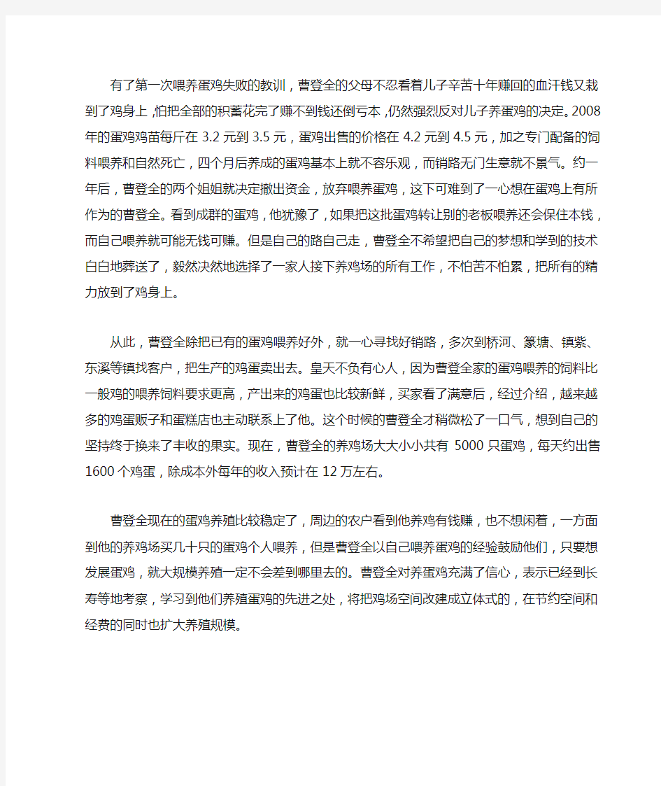 蛋鸡养殖创业故事文稿