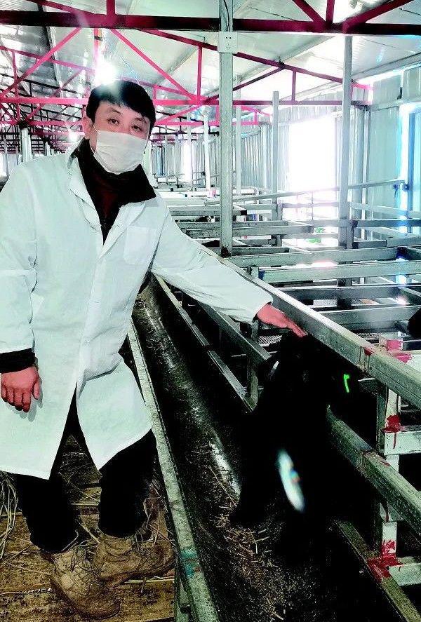 石磥养殖致富_致富养殖网_致富经养殖业
