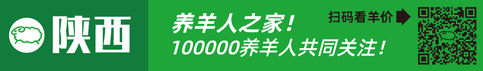 寒羊串产羔率_寒羊串养殖技术视频_寒羊串大母羊价格