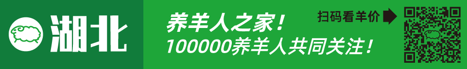 寒羊串养殖技术视频_寒羊串产羔率_寒羊串大母羊价格