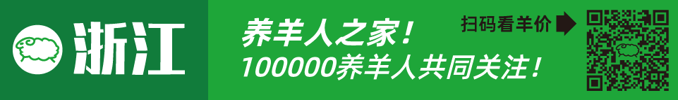 寒羊串养殖技术视频_寒羊串产羔率_寒羊串大母羊价格