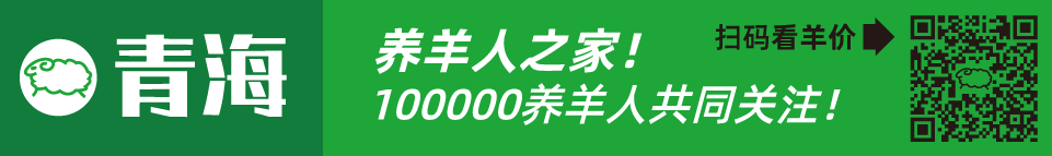 寒羊串大母羊价格_寒羊串产羔率_寒羊串养殖技术视频