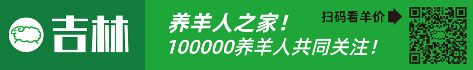 寒羊串产羔率_寒羊串养殖技术视频_寒羊串大母羊价格