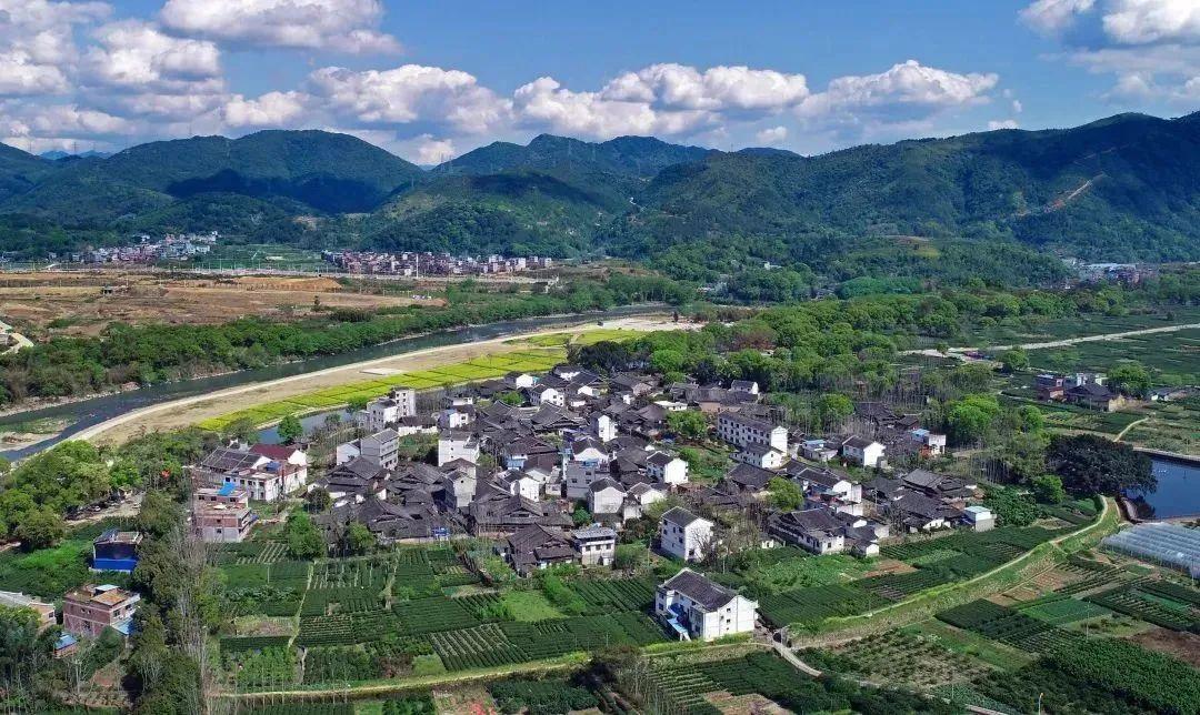 宁德农业种植致富项目名单_宁德蔬菜种植基地_宁德富有特色的农业产品