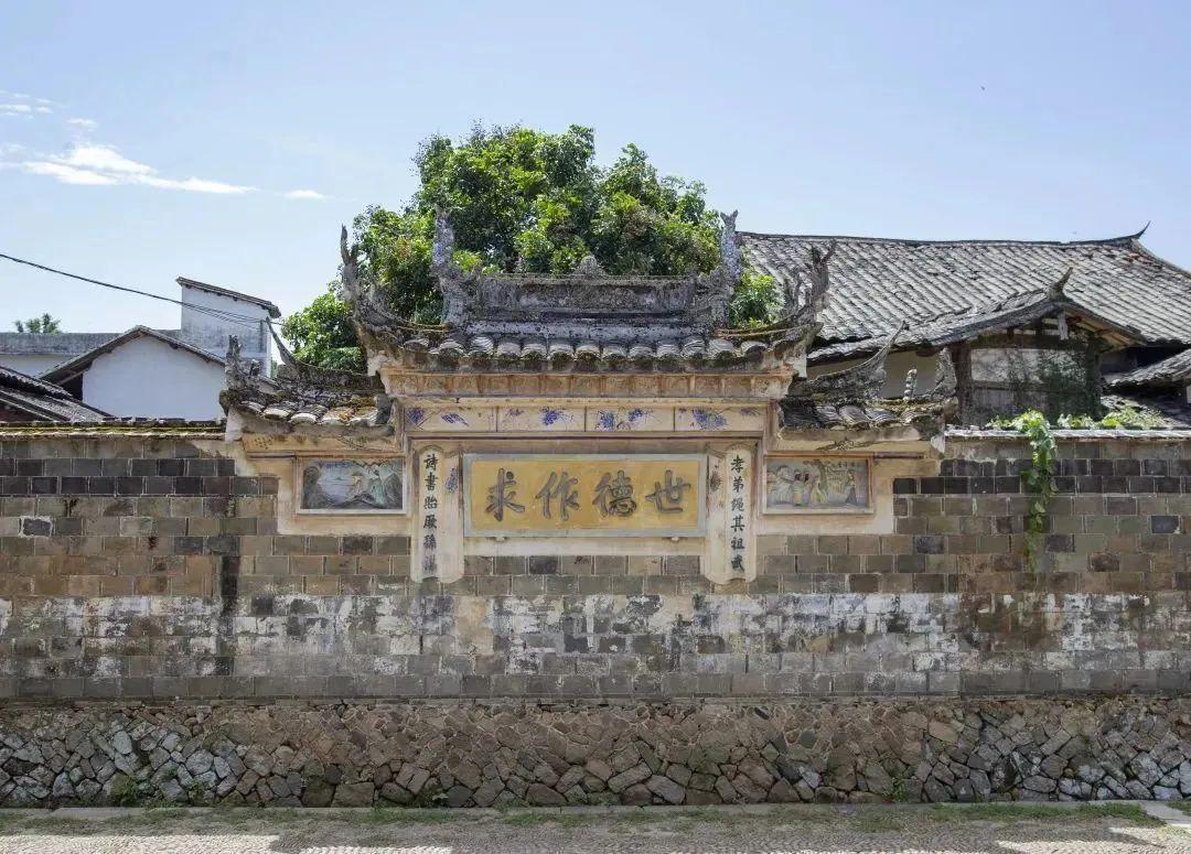 宁德农业种植致富项目名单_宁德蔬菜种植基地_宁德富有特色的农业产品
