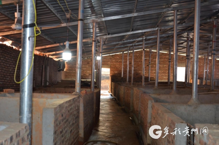 致富经播出嚎猪养殖韩家文_养猪致富之路_致富养猪场是真的吗