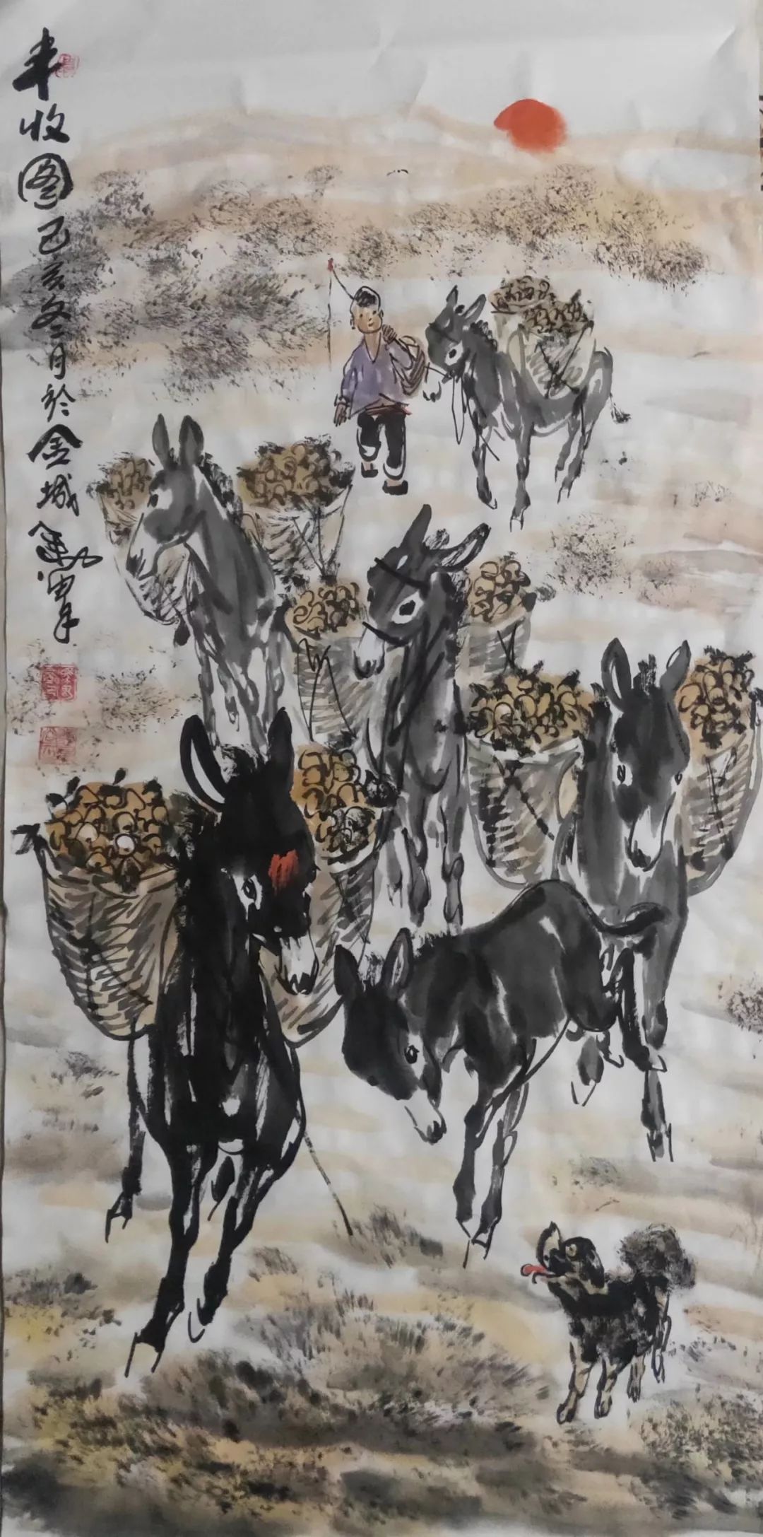 驴养殖场_河南庆阳驴养殖致富经验_驴养殖业前景怎么样