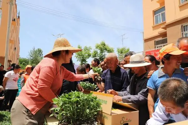 灵宝中药材种植_灵宝农作物_灵宝种植致富