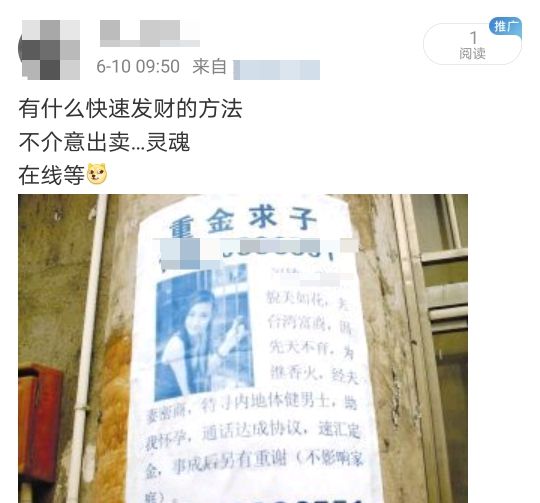致富有道不用猜是什么生肖_致富有道什么意思_致富经我有