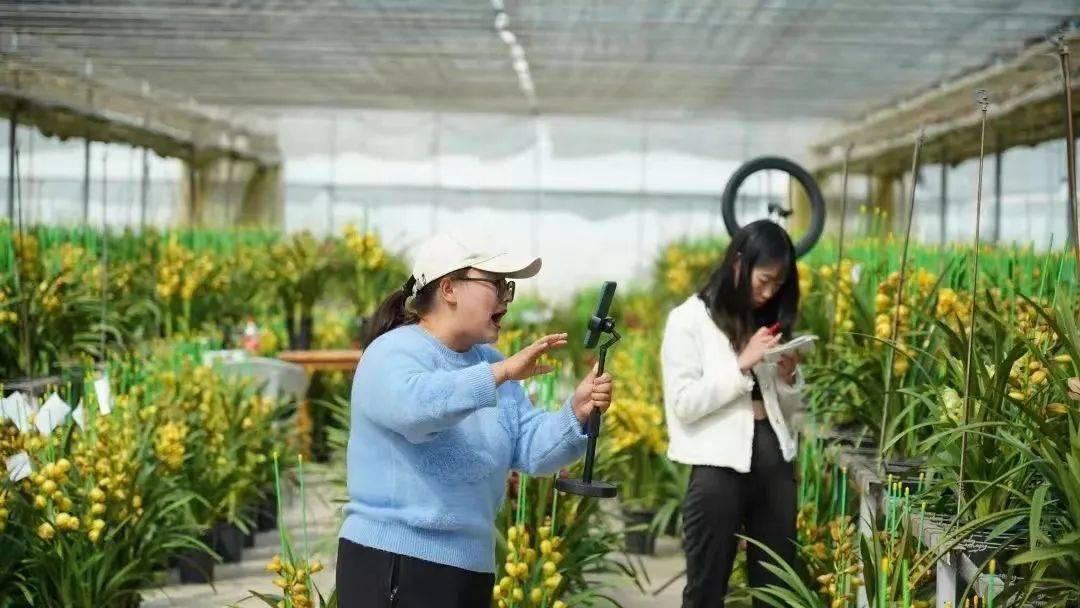 云南昆明种花基地_云南昆明花卉种植基地_昆明种植花卉致富