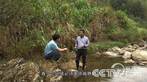 [致富经]大山深处蛙财富