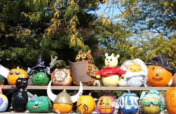 种植南瓜效益怎么样_致富南瓜种植大户名单_大南瓜种植致富