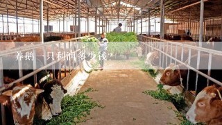 养鹅一只利润多少钱？