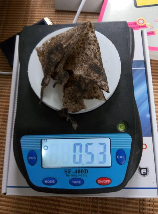蟾酥致幻_致富经  蟾酥_蟾酥骗局