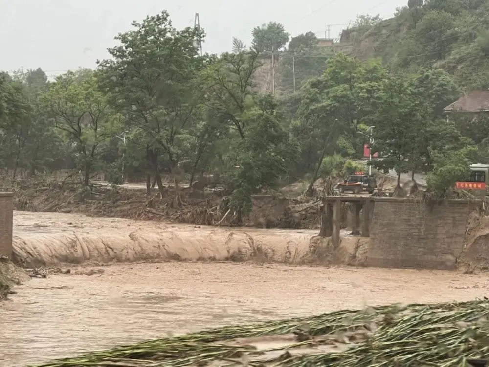 黄土高原的致富经_黄土高原可生产什么药材_黄土高原如何脱贫致富