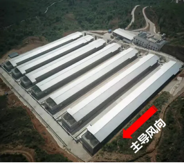育雏小鹅的养殖技术_雏鹅育雏技术_小鹅养殖技术视频