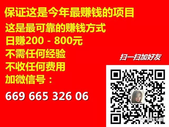三农致富经大棚_致富经大棚种菜技术_大棚带动群众致富