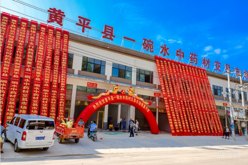 致富瓜子种植图片欣赏_致富经种瓜_种植致富瓜子图片