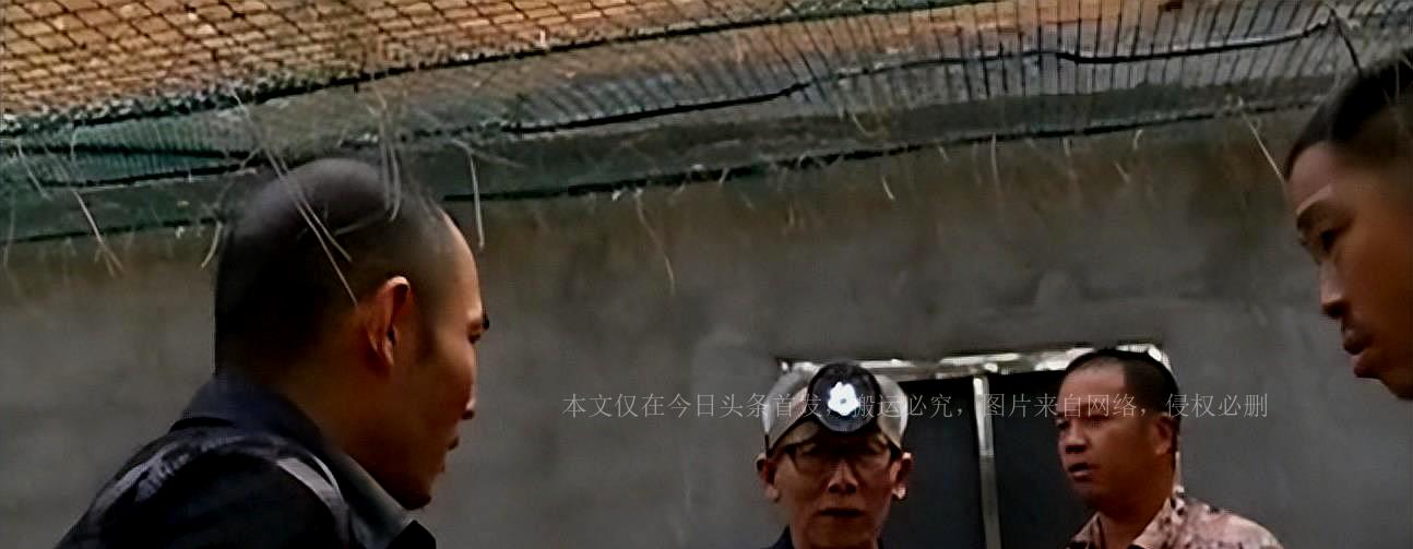 致富经蟒蛇养殖_蛇养殖致富案例_养殖致富经
