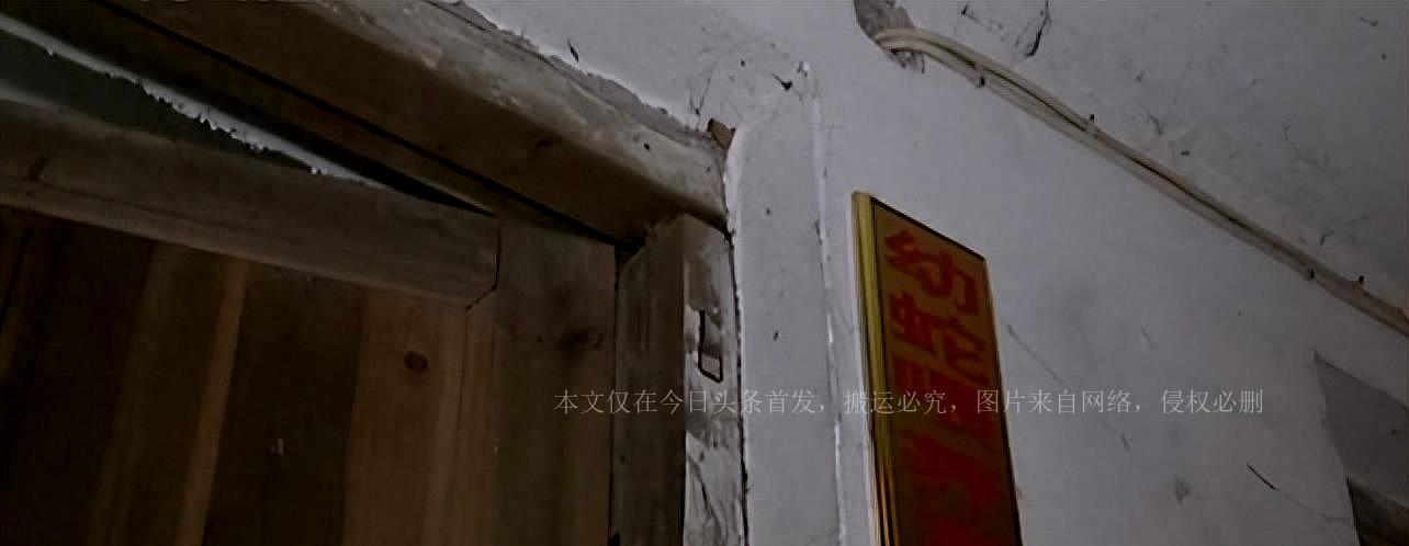养殖致富经_蛇养殖致富案例_致富经蟒蛇养殖