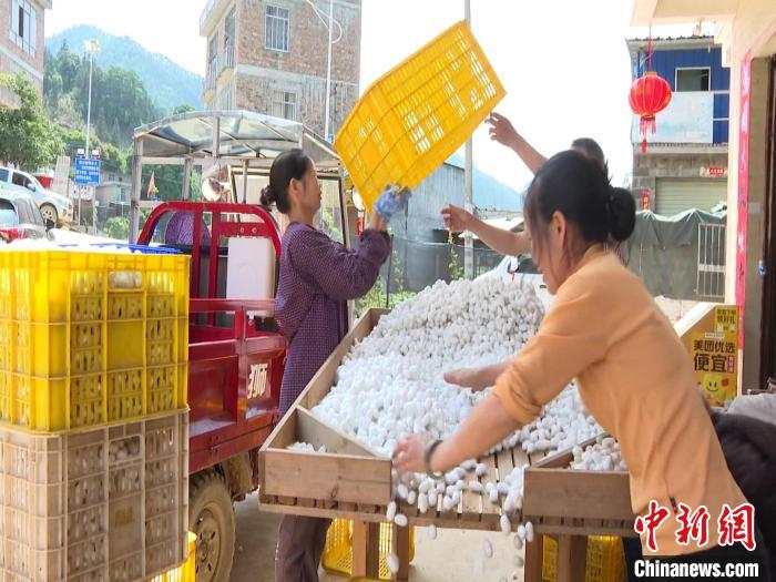 致富养殖堂哥小说_致富养殖堂哥是谁_堂哥养殖致富