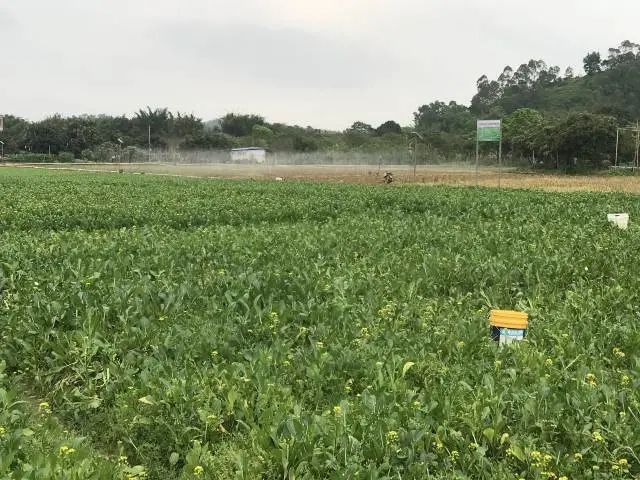 昔日失足青年，今日致富能手！历时15年，他实现了完美逆袭