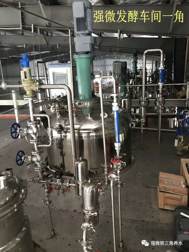 养殖狗方法技术下如何喂食_养狗养殖技术_养殖狗的技术方法如下